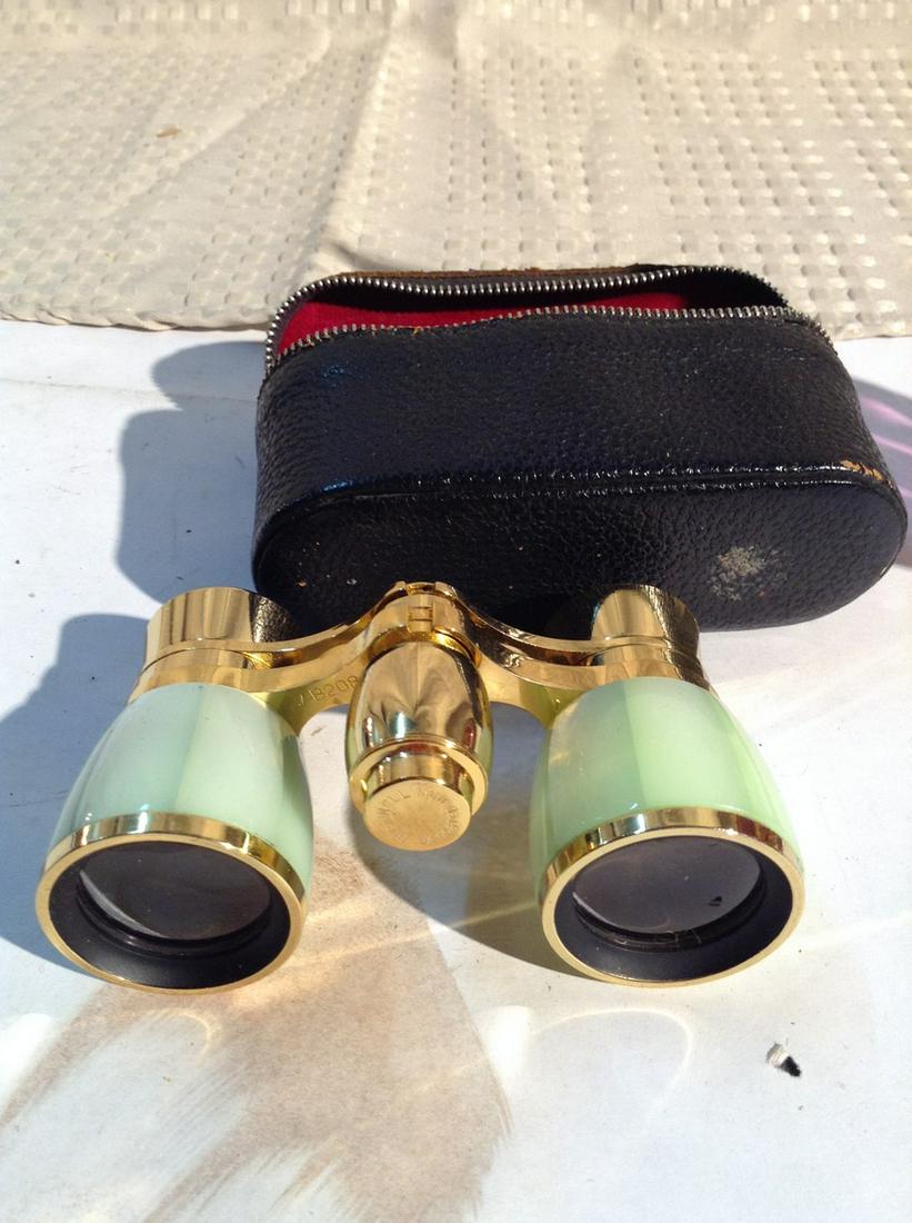 Opera Glasses in Case: Opera Glasses in Case