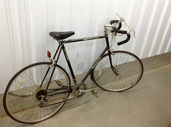 Panasonic Sport Bike