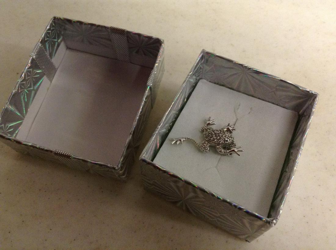 Frog necklace in the box: Frog necklace in the box