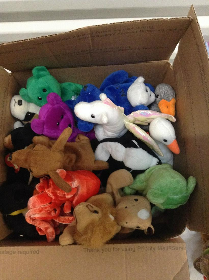 Box full of Beanie Babies: Box full of Beanie Babies