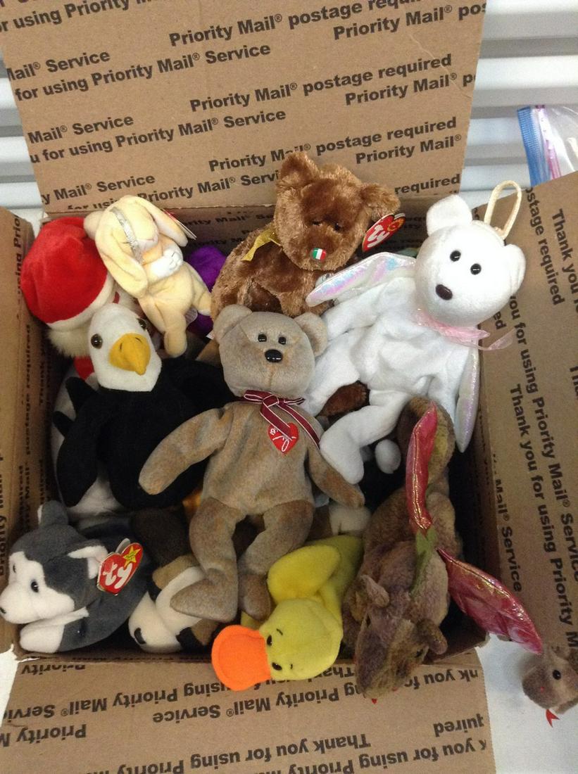 Box full of Beanie Babies: Box full of Beanie Babies
