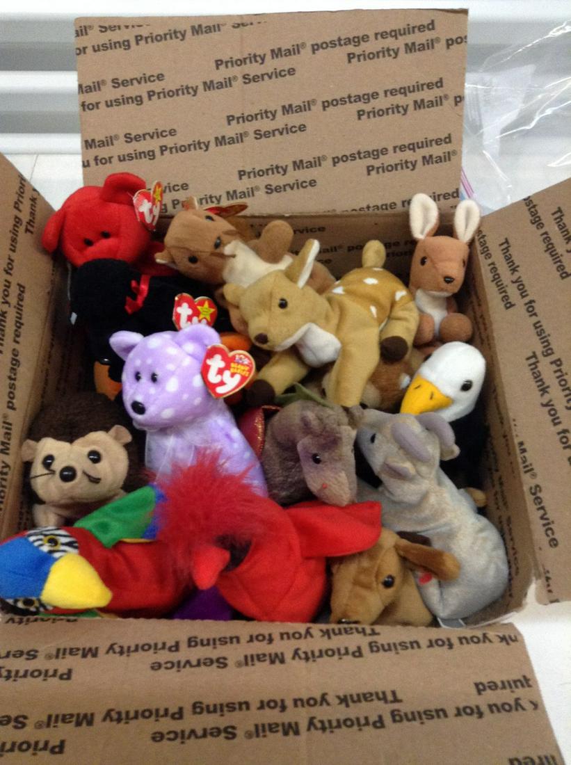 Box full of Beanie Babies: Box full of Beanie Babies