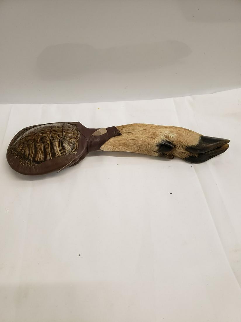 Unique Turtle shell with a hoof Native American morroca (1 of 1)