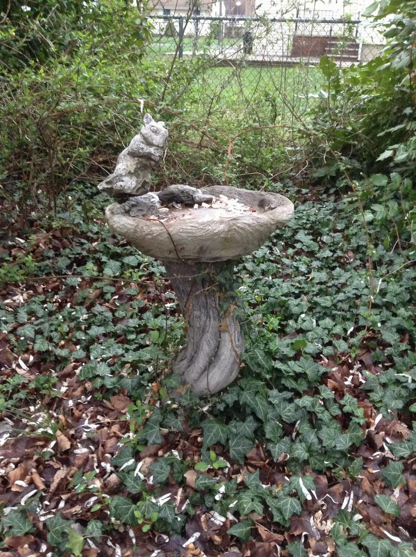 Bird Bath: Bird Bath