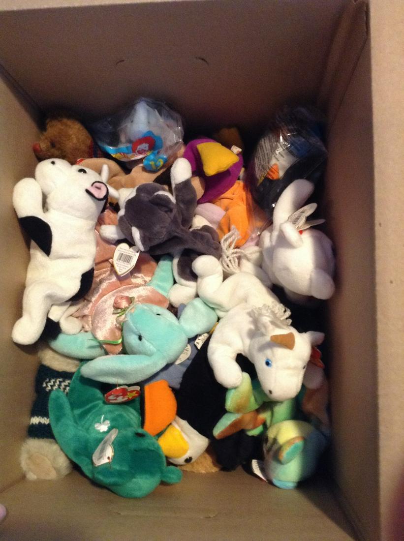Box full of Beanie Babies: Box full of Beanie Babies