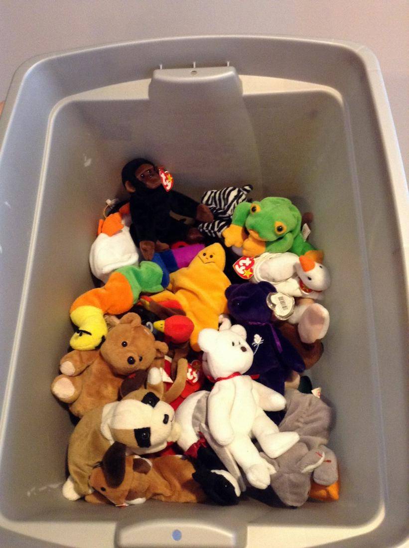 Box full of Beanie Babies: Box full of Beanie Babies