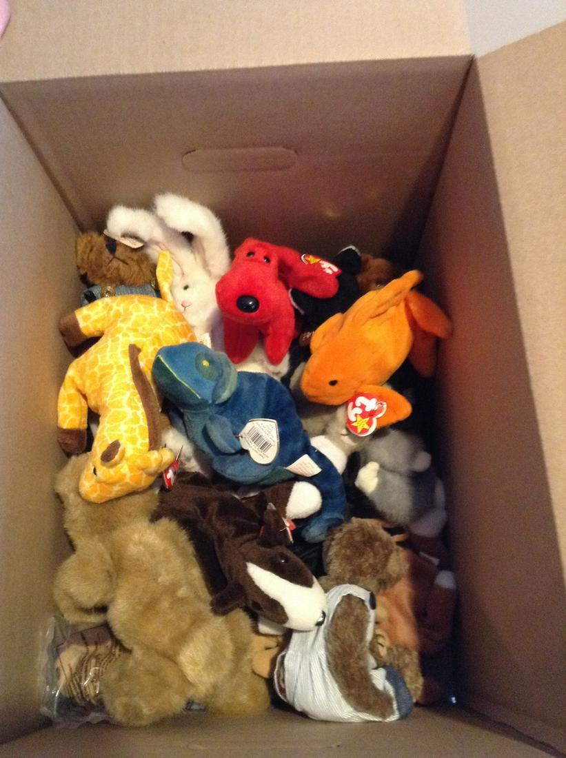 Box full of Beanie Babies: Box full of Beanie Babies