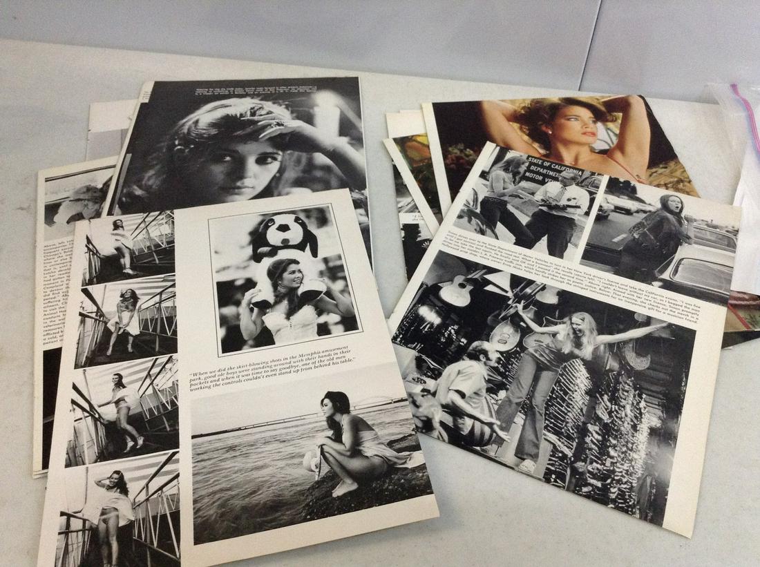 Lot of Playboy Centerfolds: Lot of Playboy Centerfolds