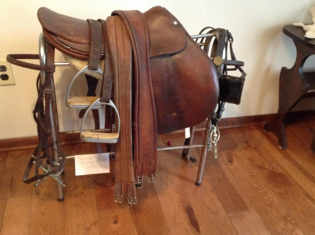Early saddle spurs and more (1 of 1)