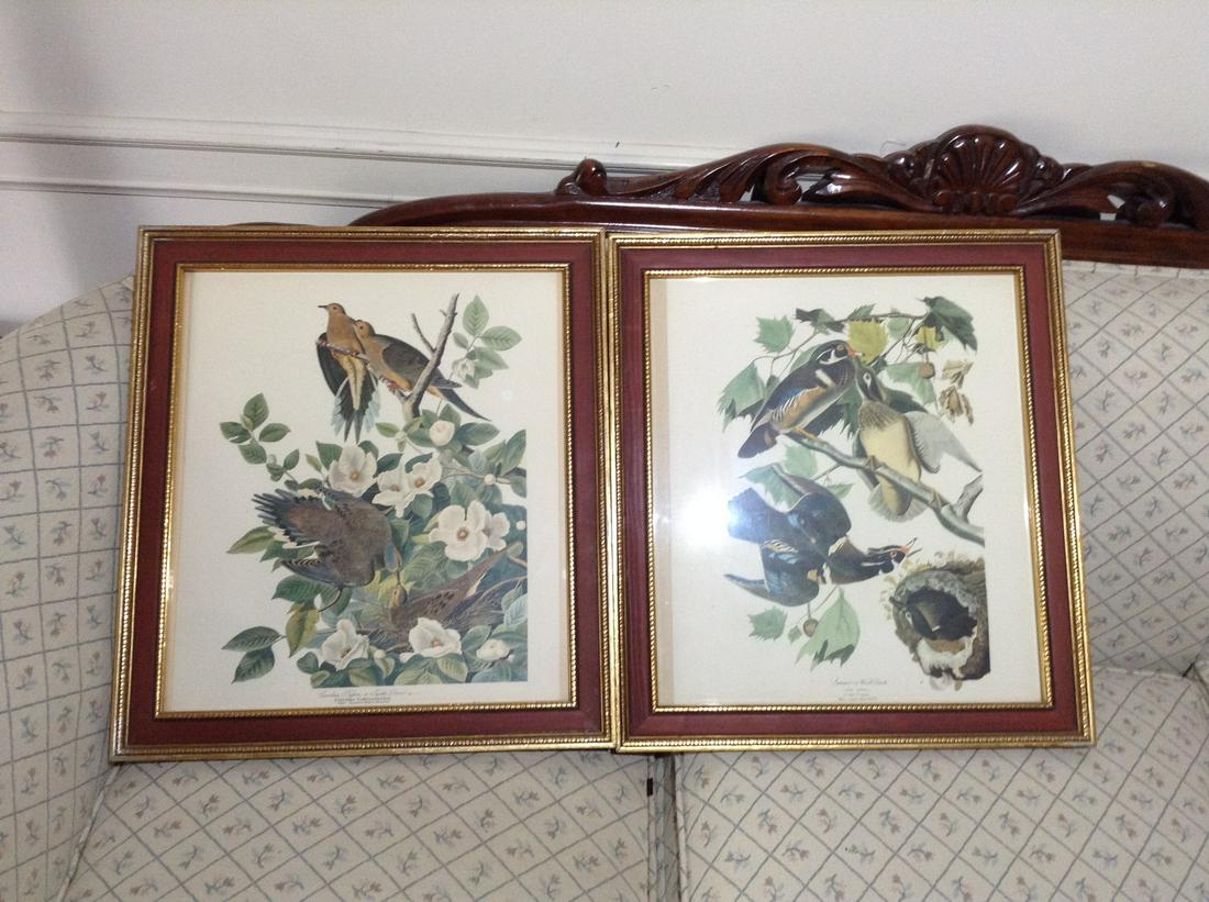 2 early bird prints (1 of 1)