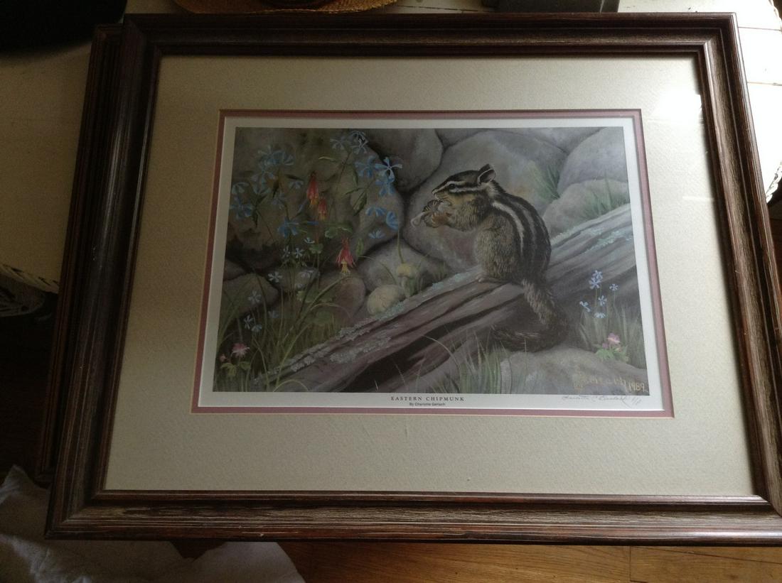 chipmunk watercolor: chipmunk watercolor