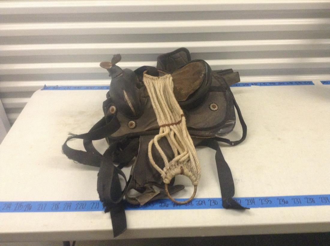 Saddle: Saddle
