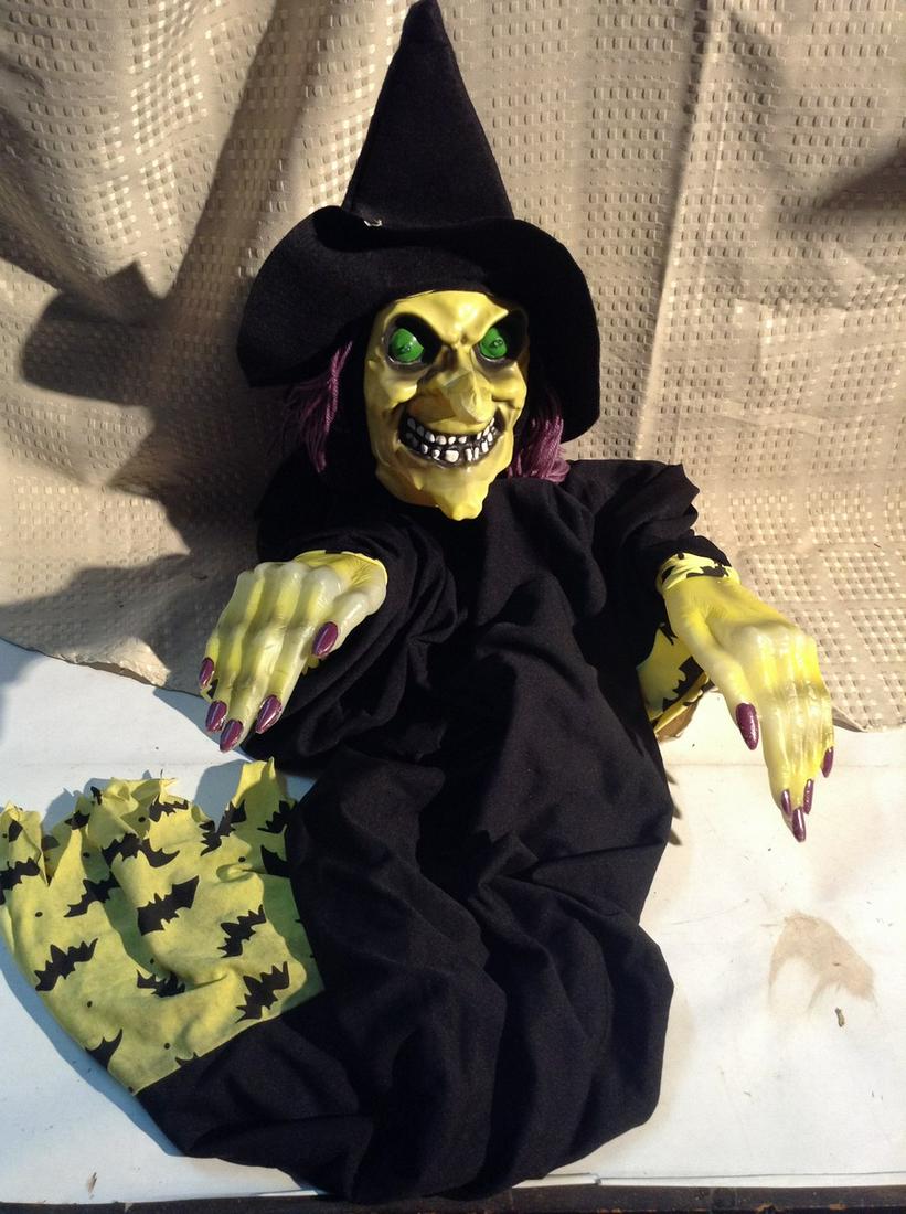 Witch Halloween Decoration (1 of 1)