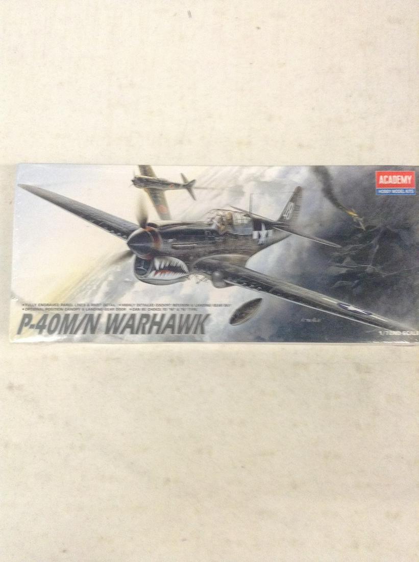 P-40M/N Warhawk sealed model (1 of 1)