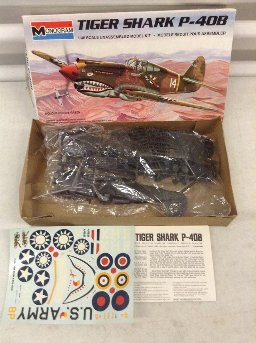 Tiger Shark P-40B model (1 of 1)