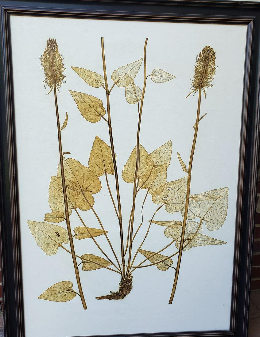 Beautiful Green flowers pressed artwork 33x45 (1 of 1)