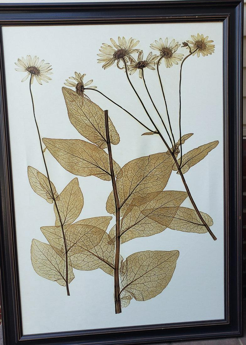 Beautiful Green flowers pressed artwork  artwork 33x45 (1 of 1)