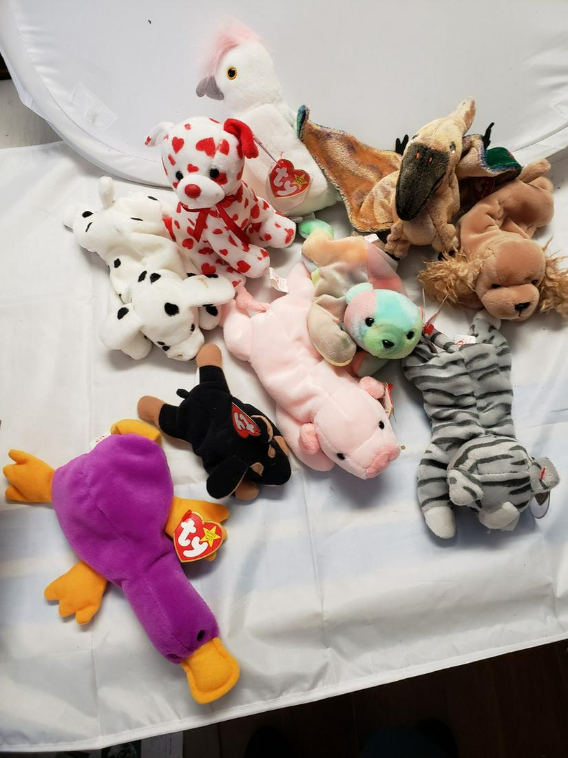 Lot of Beanie Babies: Lot of Beanie Babies