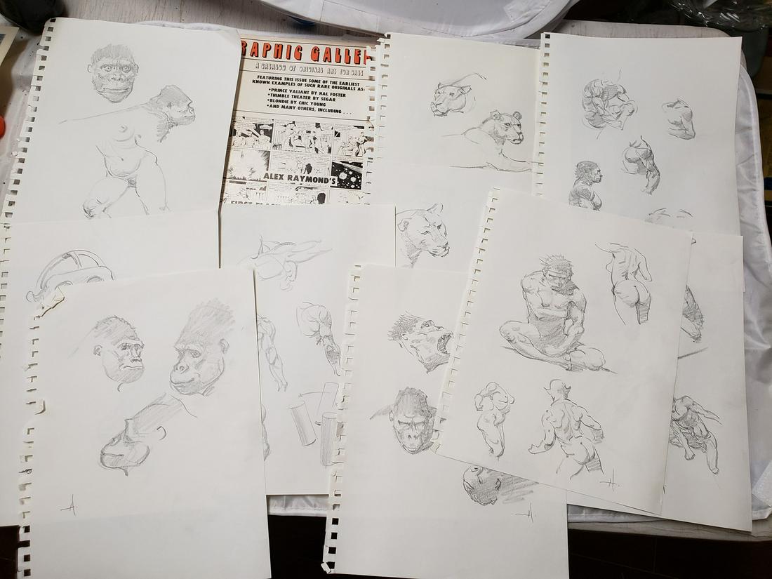 Lot of Pencil Drawings by Mike Hoffman and more (1 of 1)