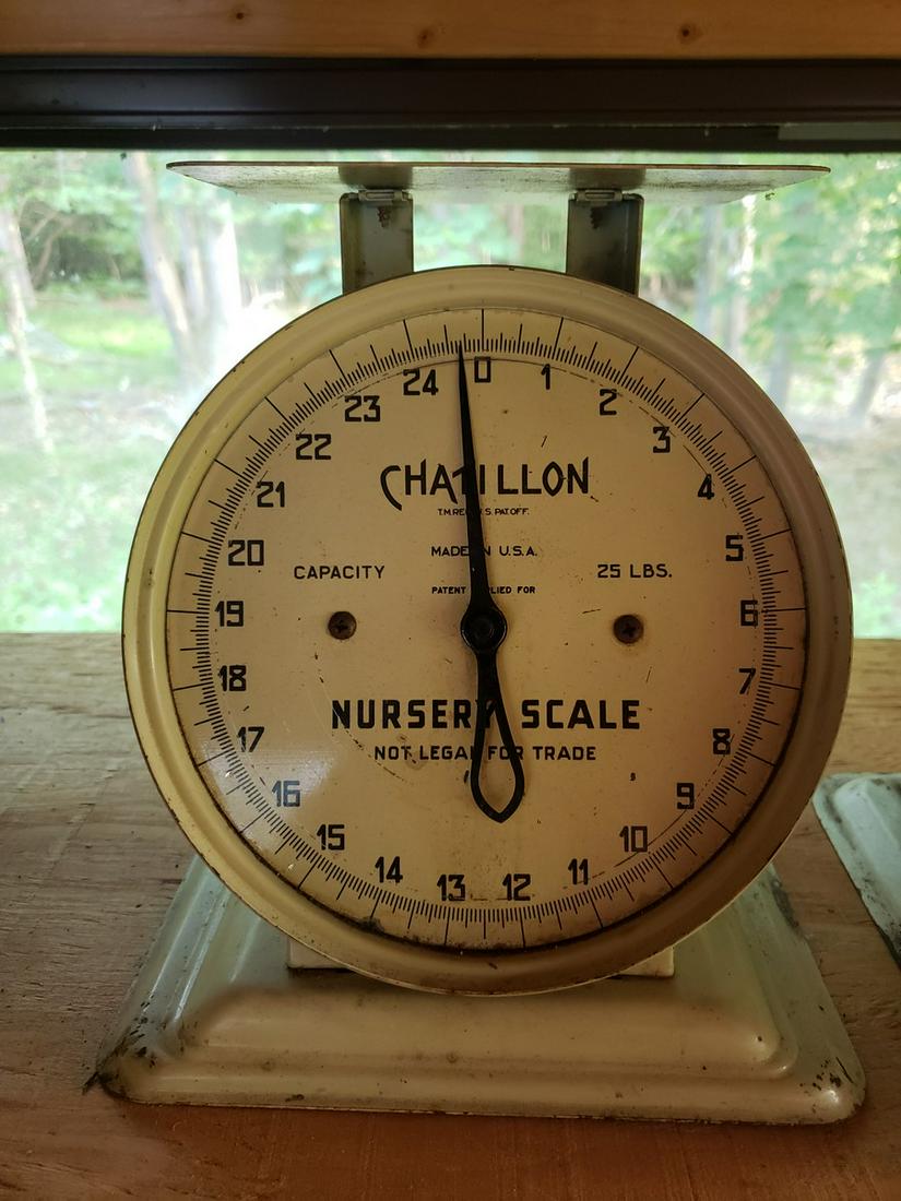 Chatillon Nursey vintage scale (1 of 1)
