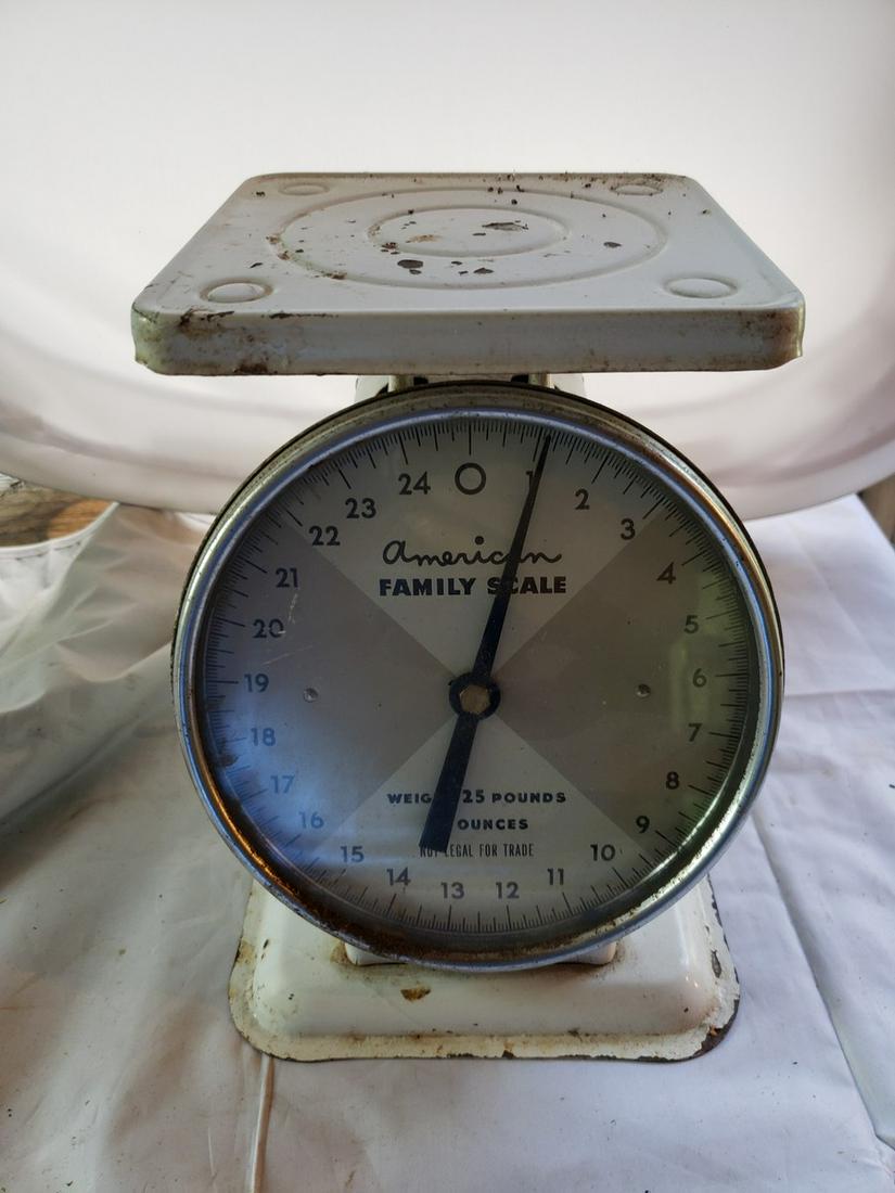 Vintage American Family Scale (1 of 1)