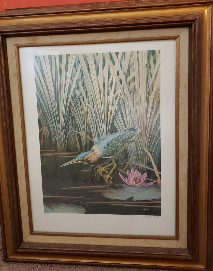 Thomas Hirada limited edition bird print matted and (1 of 1)