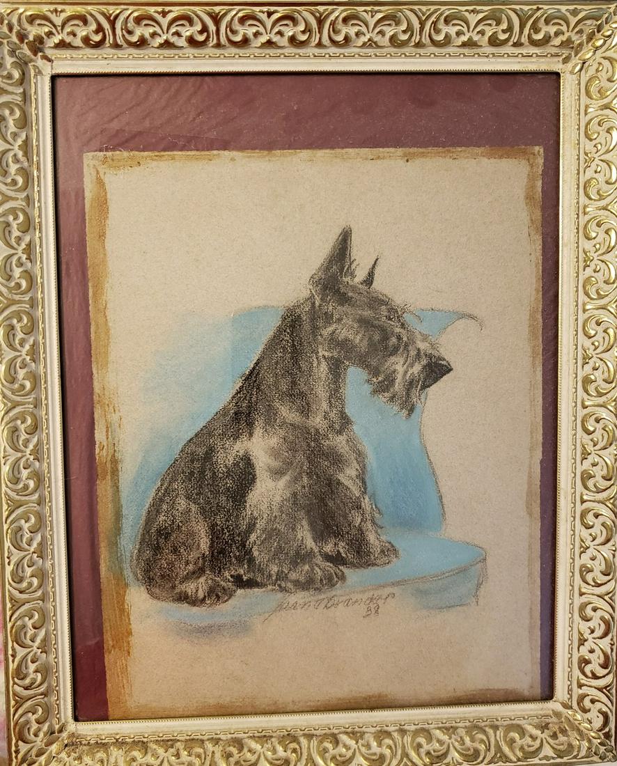 Scottish Terrier drawing framed signed 13 x 16" drawing (1 of 1)