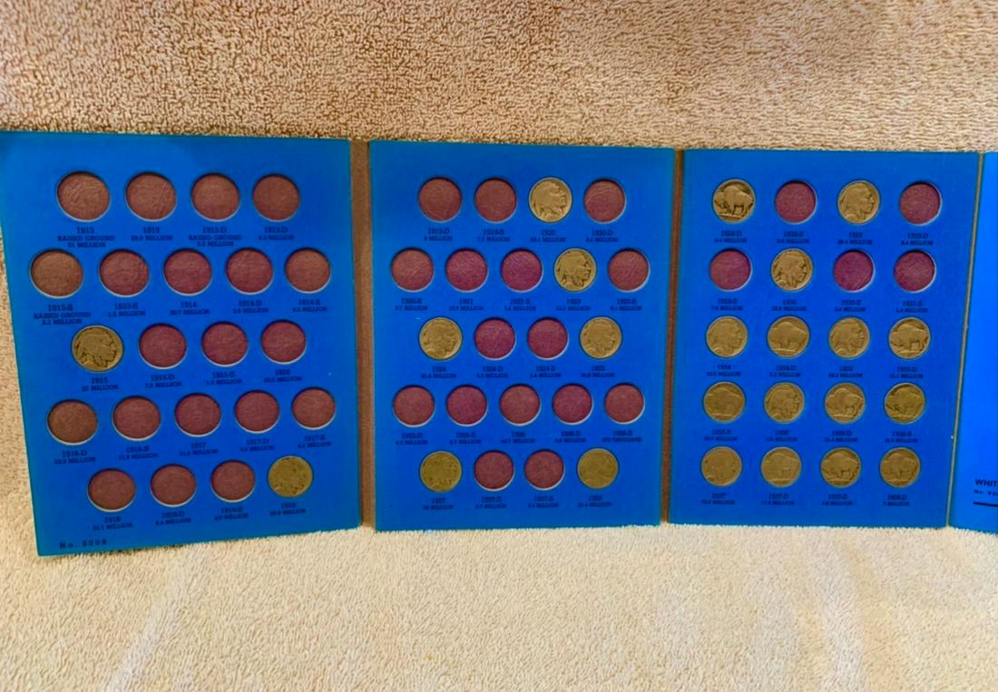 23 Buffalo Nickel Collection (1 of 1)