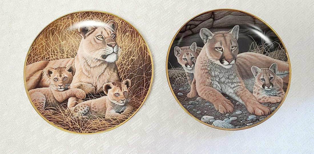 NWF Michael Matherly Big Cats Plates: NWF Michael Matherly Big Cats Plates