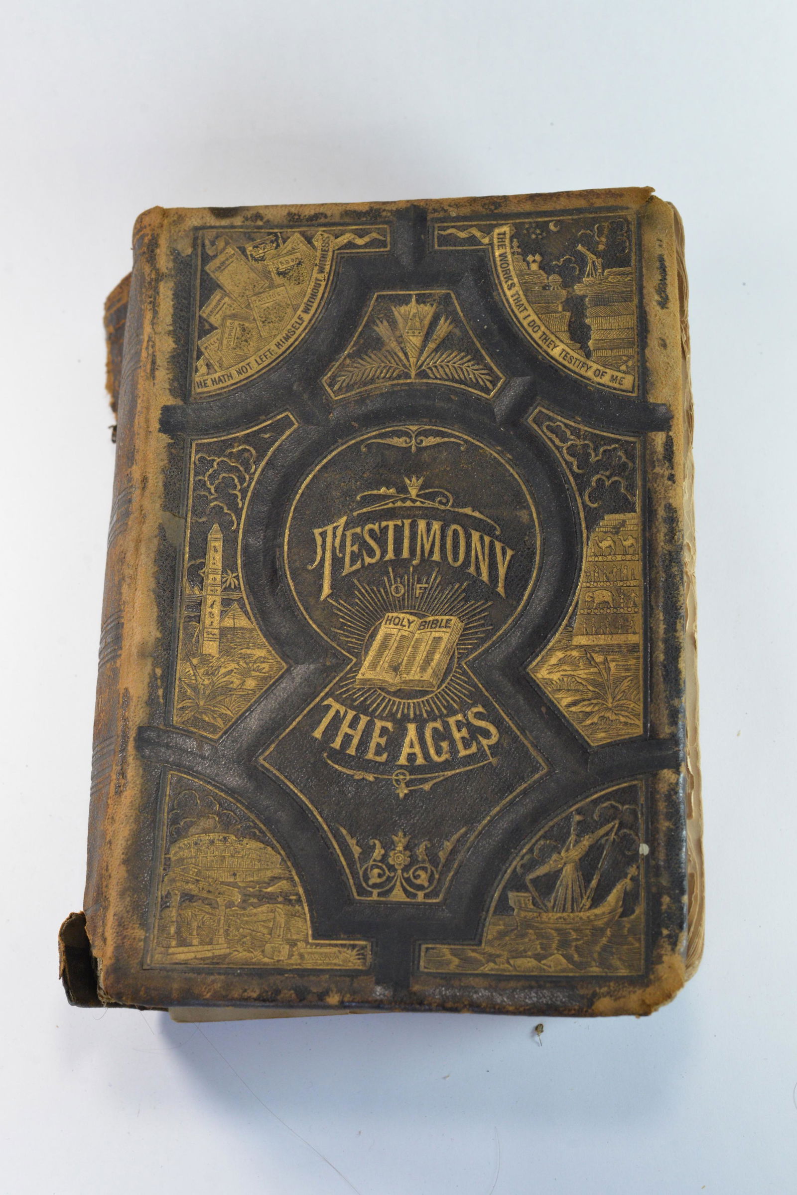 Testimony of The Ages by Herbert William Morris c1883 (1 of 1)