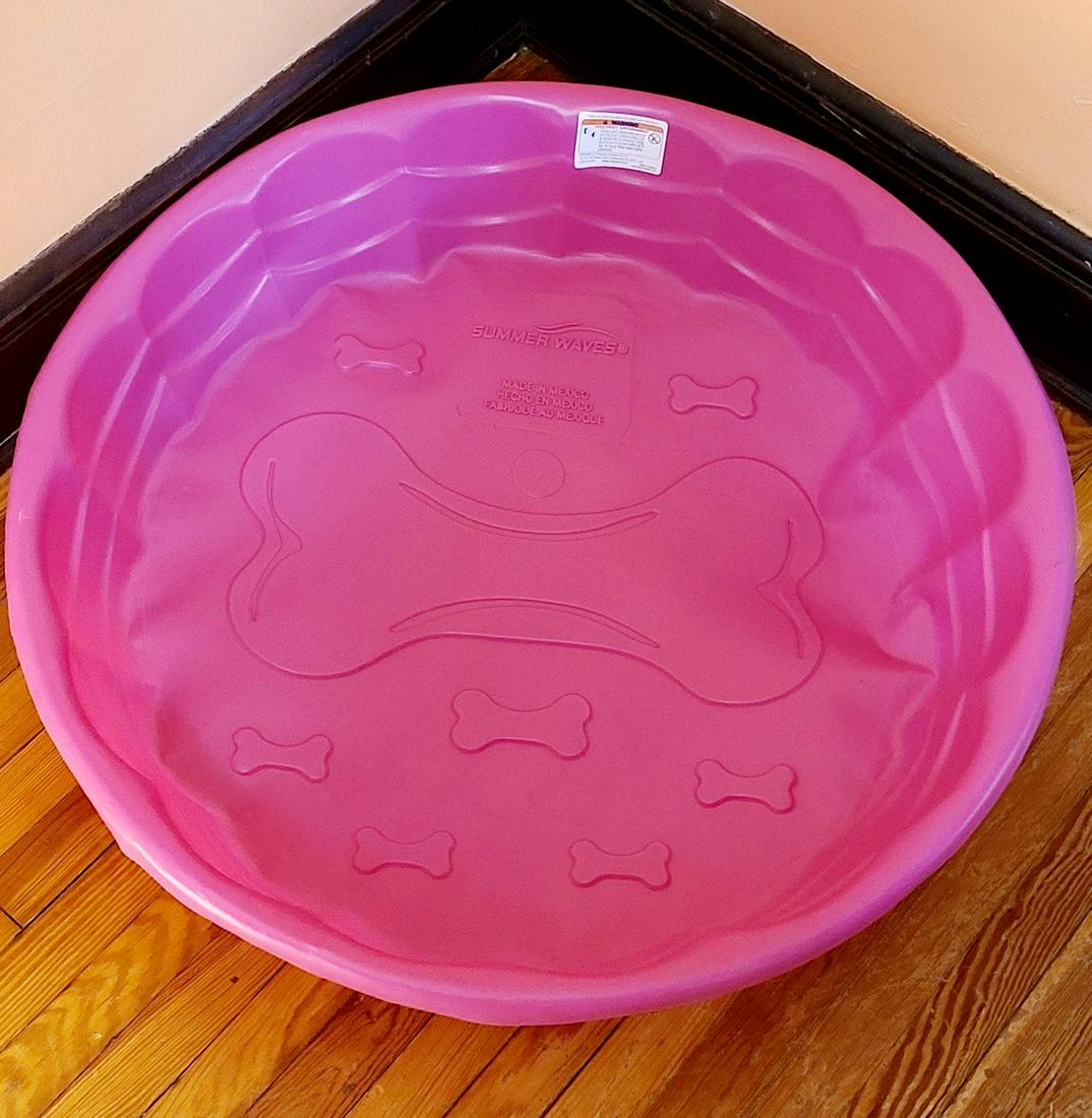 Small Dog Pool: Small Dog Pool