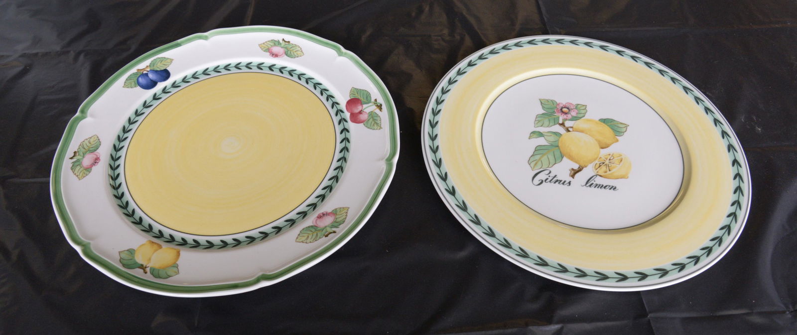 Set of 2 Villeroy & Boch Plates (1 of 2)