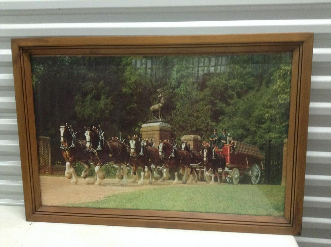 Framed Budweiser Clydesdales Print  37.5"x25.5" (1 of 1)
