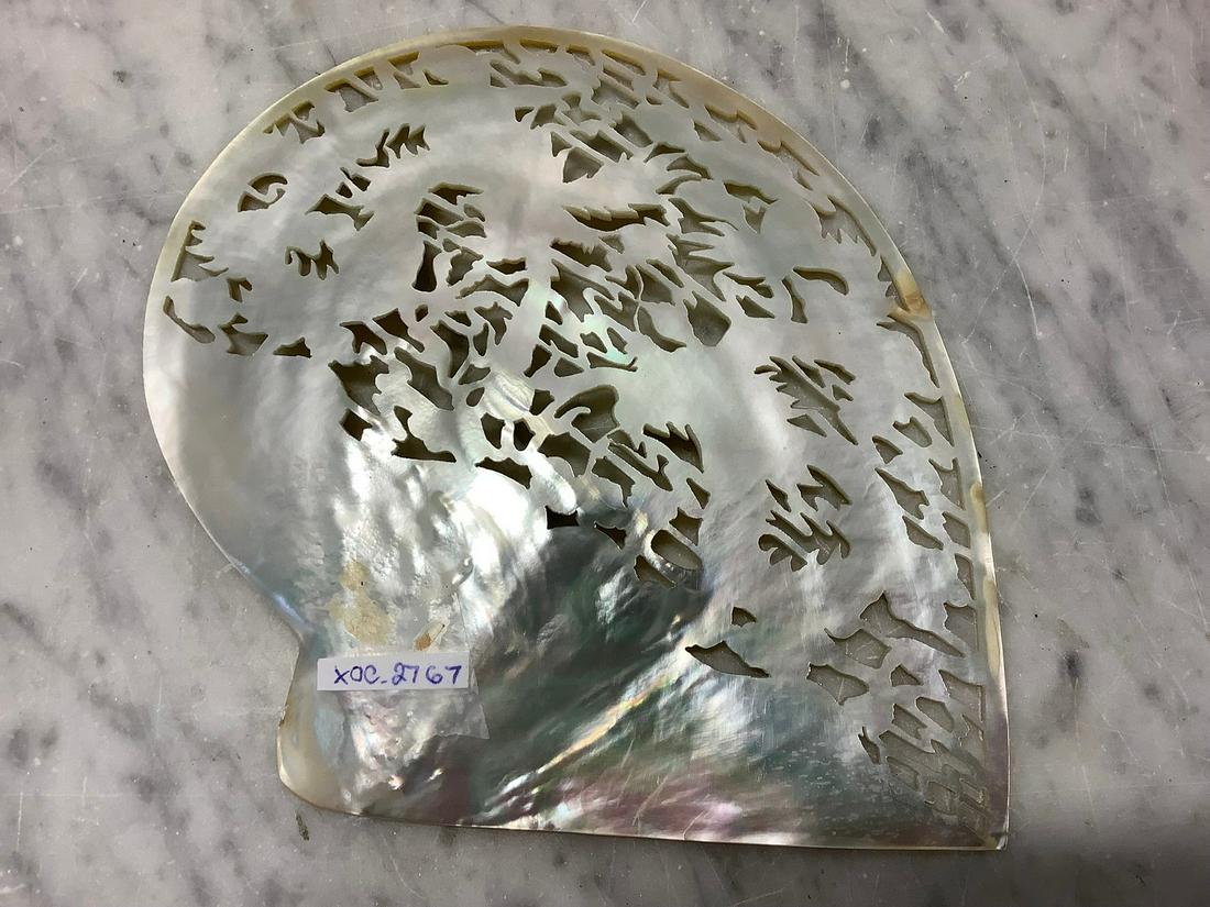 Newark Museum White Shell (1 of 1)