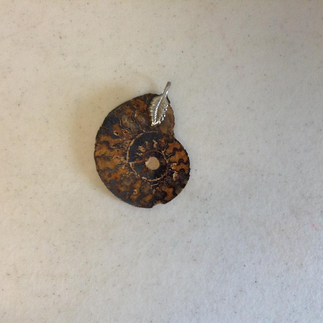 Fossil Ammonite Charm: Fossil Ammonite Charm