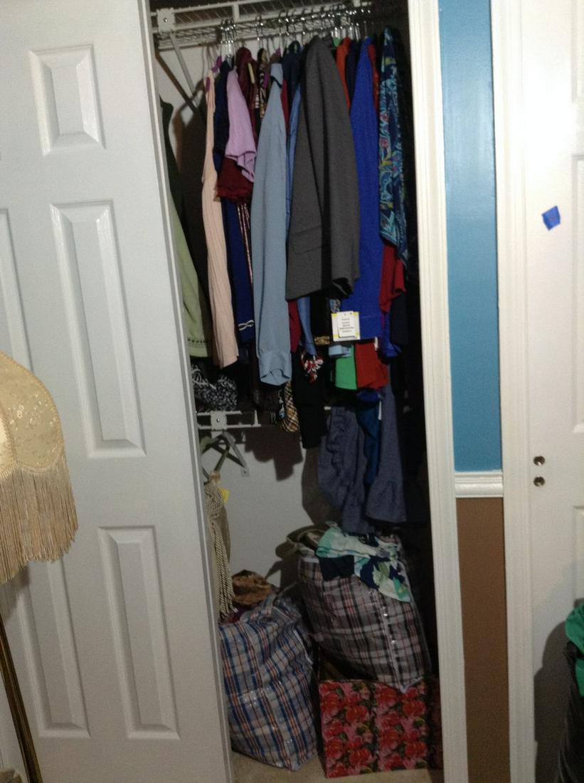 Contents of Half Closet including two large bags of: Contents of Half Closet including two large bags of clothes