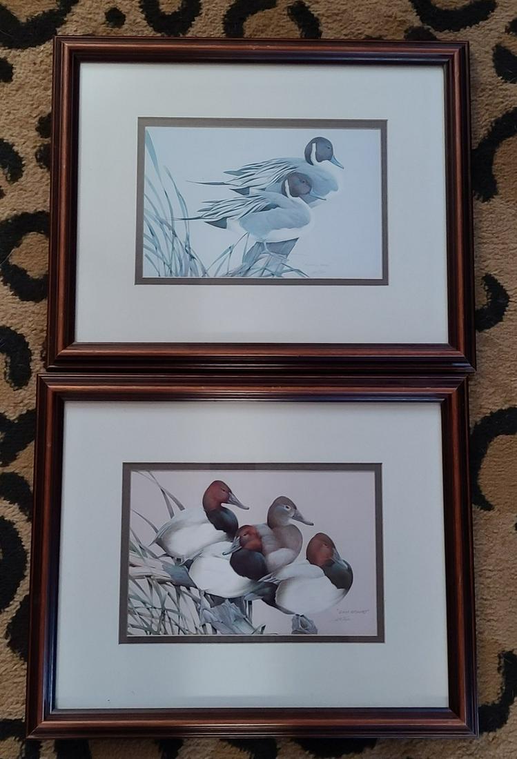 Signed Framed Duck Art Prints 15x13 each (1 of 1)