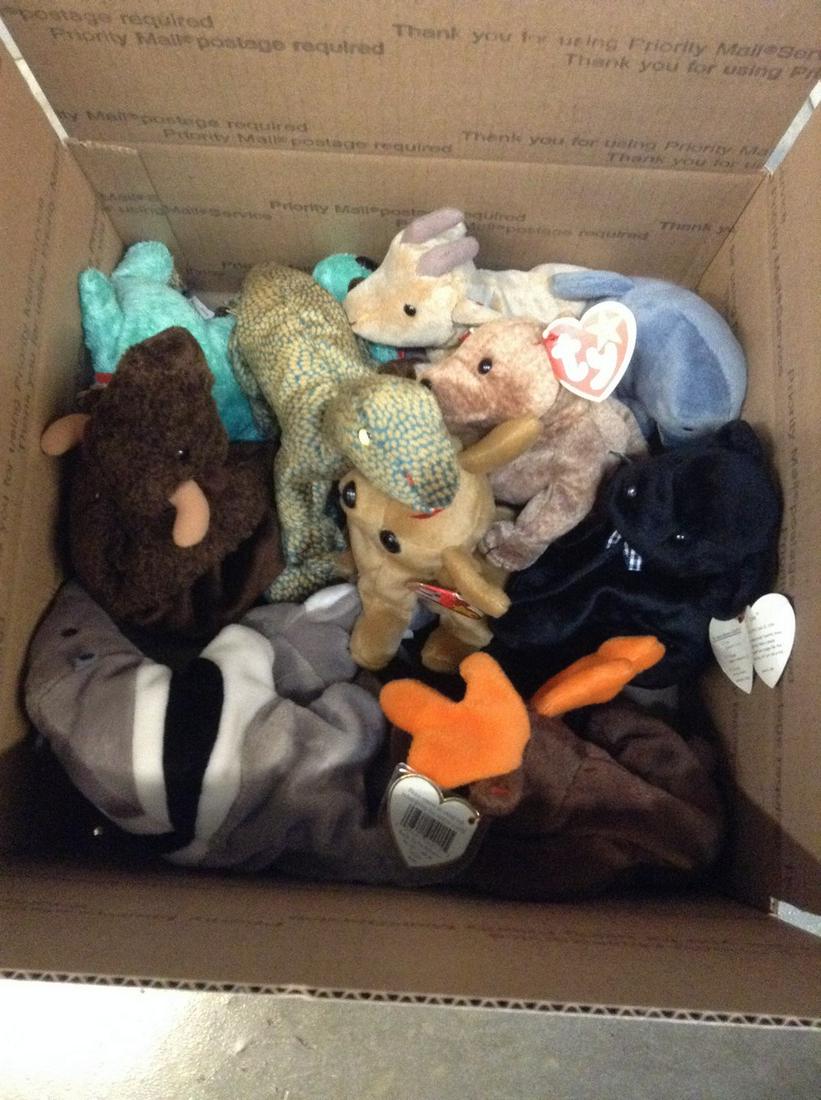 Box of Beanie Babies: Box of Beanie Babies