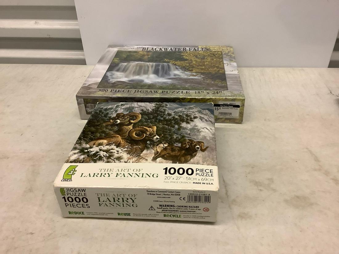 Two Sealed Puzzles "Blackwater Falls" and "Larry: Two Sealed Puzzles "Blackwater Falls" and "Larry Fanning"