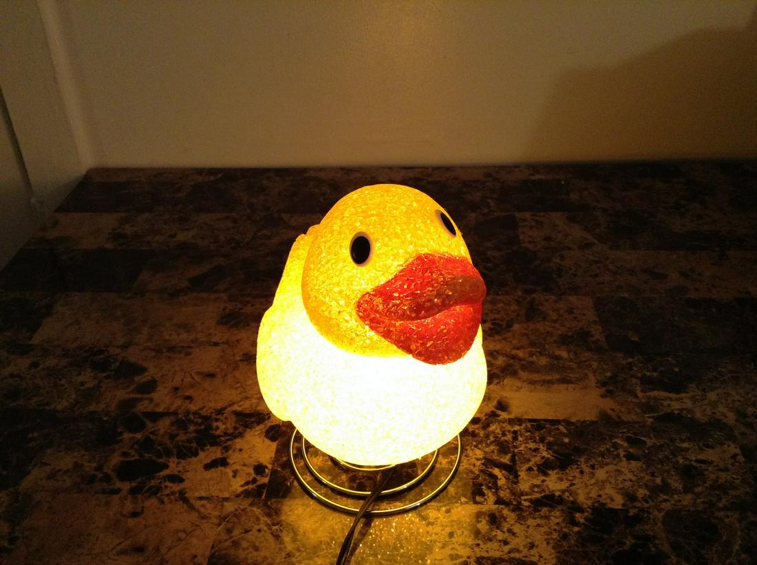 Duck Light 8 in. (1 of 1)
