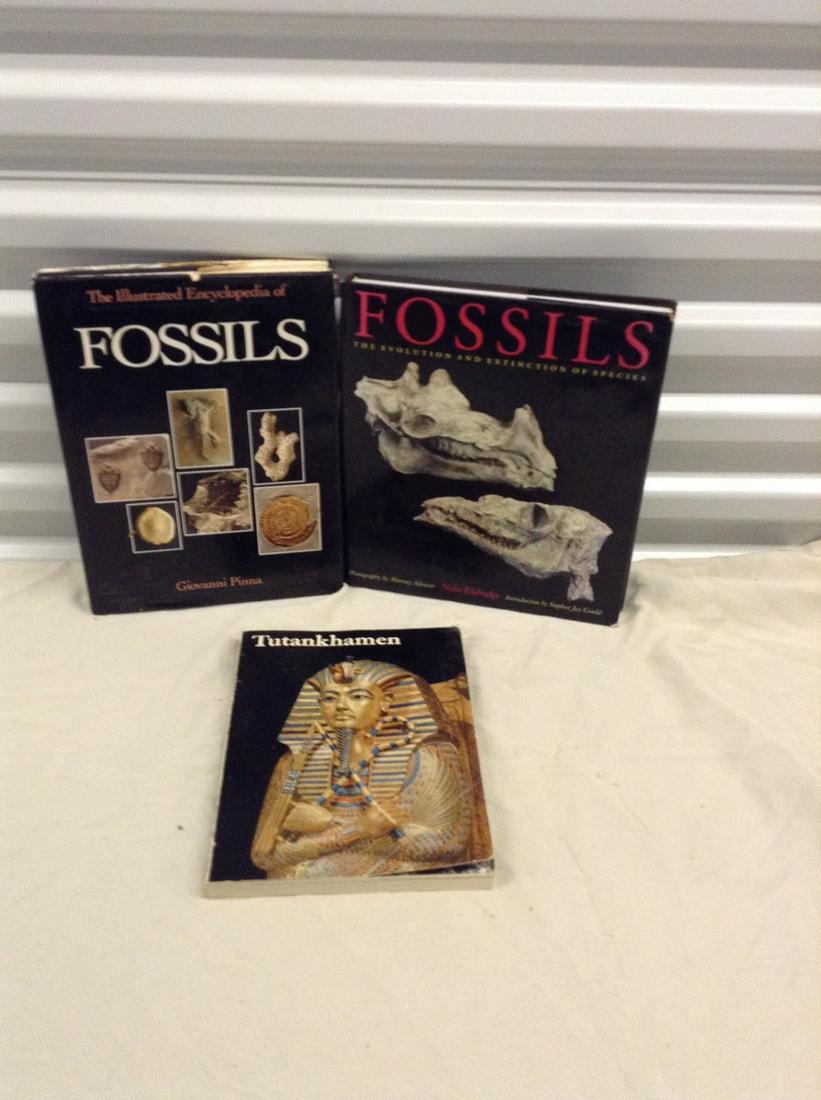 Fossil and King Tut books: Fossil and King Tut books