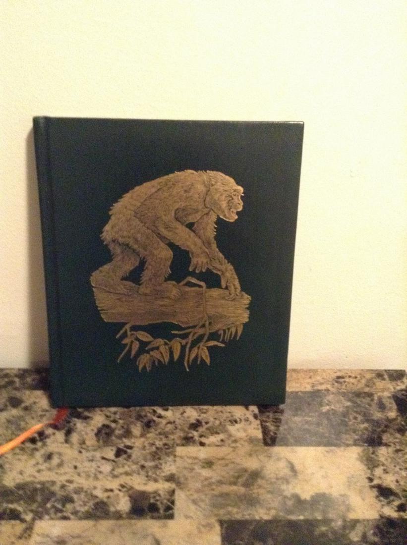 The Great Apes Between Two Worlds Book (1 of 1)