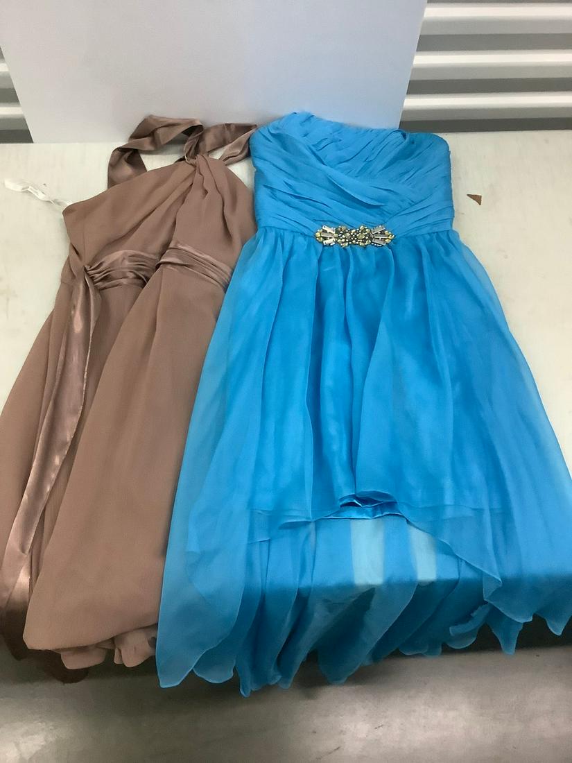 Two Evening Gowns (1 of 1)