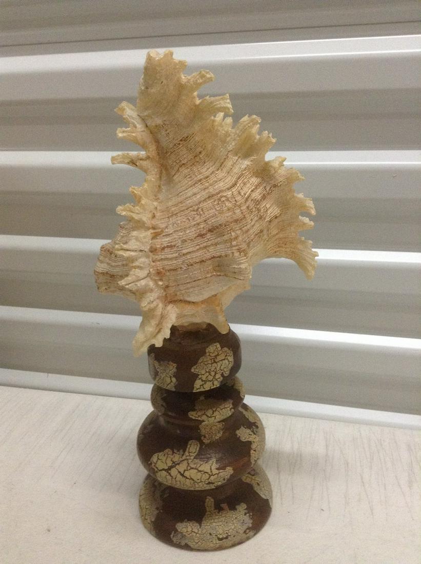 Seashell Art Piece 13.25": Seashell Art Piece 13.25"