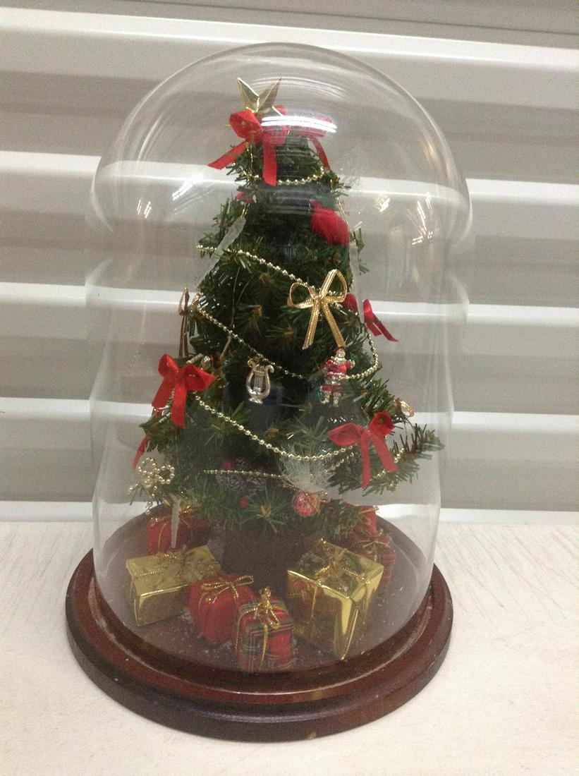 Miniature Christmas Tree in Domed Display Case 13" (1 of 1)