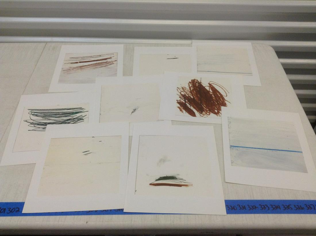 Lot of 9 Cy Twombly Lithographs 10.75"x9.25" (1 of 1)