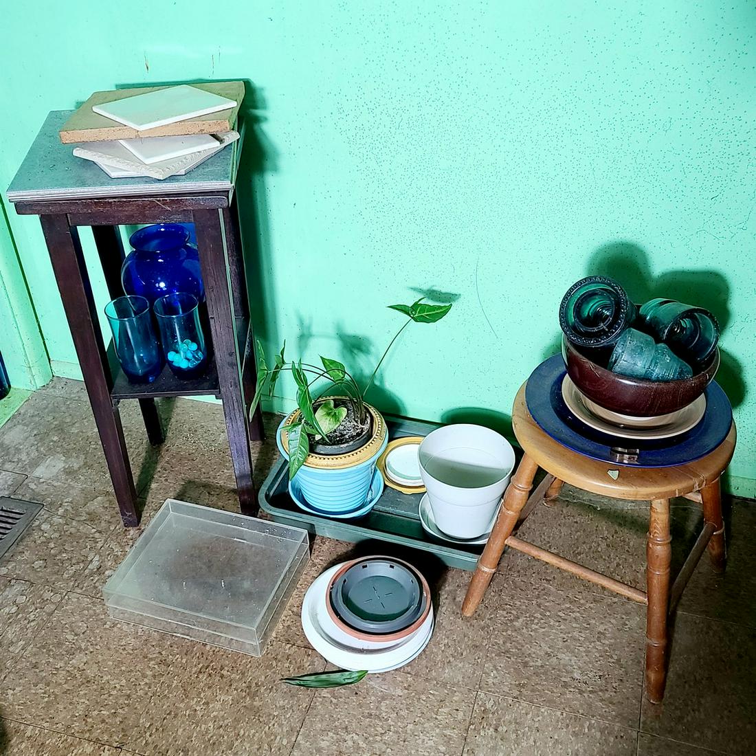 Plant, Planters, Stands and More (1 of 1)