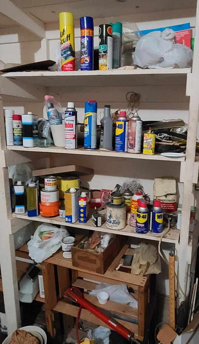 Garage Shelving Contents 1 (1 of 1)