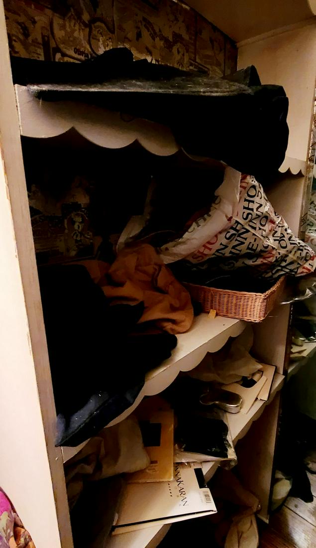 Shelf contents including panty hose, designer dust (1 of 1)