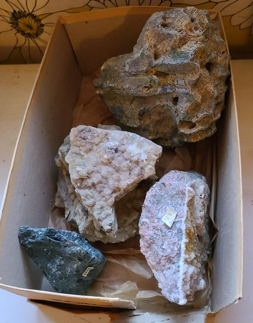 Stone and Mineral Collection: Stone and Mineral Collection